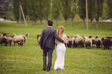 couple walking on meadow with sheep