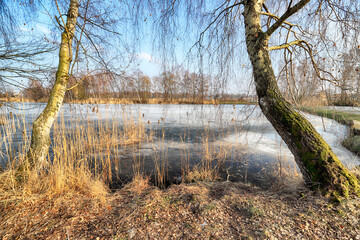 WROCLAW, POLAND - FEBRUARY 22, 2021: Frozen lake landscape. The Milicz Ponds (Polish: Stawy...