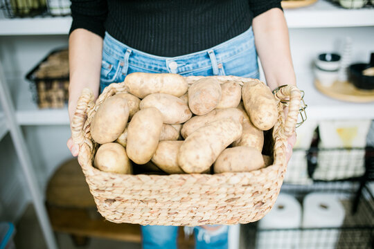 Person Holding a Basket of Fresh Potatoes