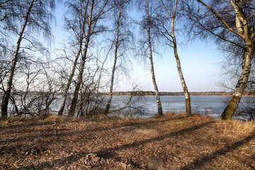WROCLAW, POLAND - FEBRUARY 22, 2021: The Milicz Ponds (Polish: Stawy Milickie). Nature Reserve in...