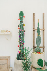 Cute cactus decorations with colorful pom poms for Christmas theme.