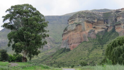 Obraz premium Sandstone cliffs near Gladstone stables, Golden Gate Highlands National Park, Free State, South Africa