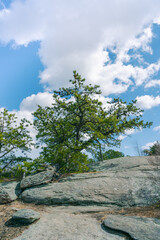 Fototapeta premium Follow the hiking trail 