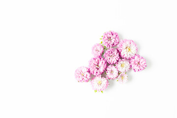 holiday concept. minimalistic pattern of fresh pink flowers on a white background. flat lay, top view