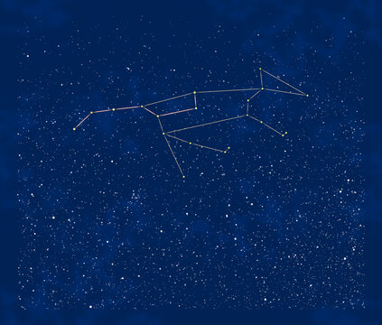 春の星座：おおぐま座と周辺の星