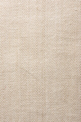 Kitchen rag close-up