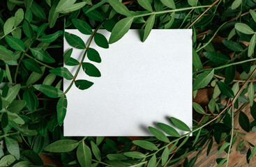 Paper Card Mockup on a Green Leaves for design of invitation, advertising card.