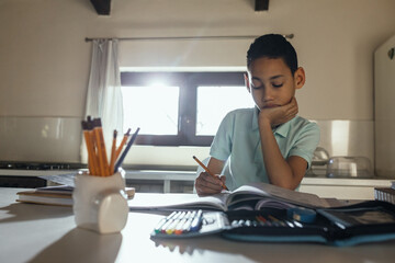 Boy studying at home