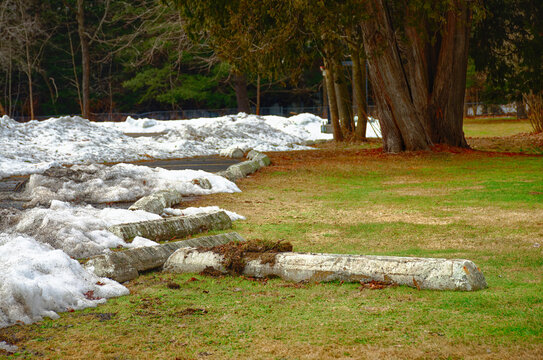 Concrete Parking Blocks are pushed into the grass. Because of the Harsh winter in Broome County in Upstate NY, the snowplows pushed the Blocks off the parking lot and into the grass.