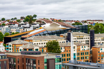 seagull flying over houses in Stavenger Norway