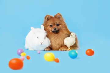 easter dog bunny and chick