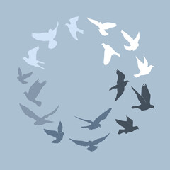 Circle of gradient birds, celebration card stock illustration. Pigeon, Sky, Animal Body Part, Animal Family, Animal Themes