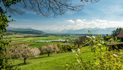 Bergpanorama im Frühling