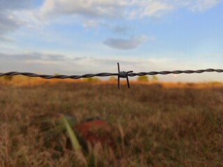 barbed wire fence with barbed wire