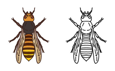 害虫 単体 スズメバチ イラスト