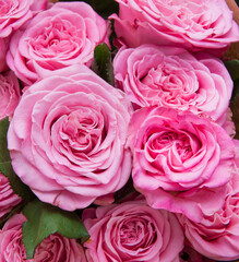 pink roses bouquet