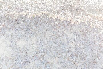 Quan Lan island Halong Vietnam