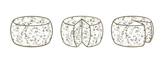 Cheese outline. Isolated cheese on white background