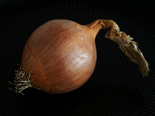 Zwiebel vor schwarzem Hintergrund