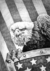Pencil drawing of a bald eagle with a shield with a flag in the background - 421579394