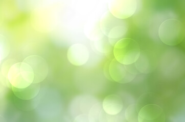 Green bokeh abstract background,holiday wallpaper