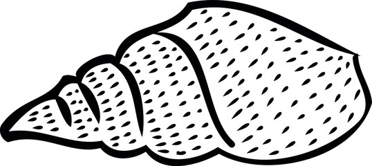 seashell. Print, postcard. sea, ocean, beach. design elements. Shell contour. vacation, travel, vacation. Coloring. vector eps 10