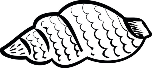 seashell. Print, postcard. sea, ocean, beach. design elements. Shell contour. vacation, travel, vacation. Coloring. vector eps 10