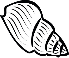 black and white seashell. sea, ocean, beach. design elements. Shell contour. vacation, travel, vacation. Print, postcard. vector eps 10