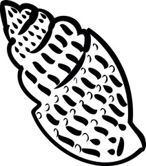 black and white seashell. sea, ocean, beach.Shell contour. vacation, travel, vacation. Print, postcard. design elements. vector eps 10