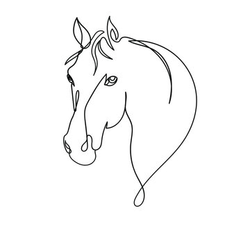 Vector hand-drawn horse head with one black line. Logo, symbol, icon, tattoo