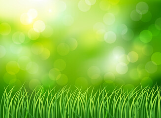 Obraz premium Magnificent spring background with green meadow. Vector illustration.