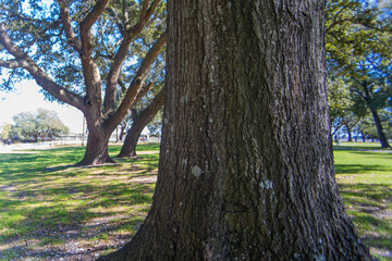 Sunset Beach Park