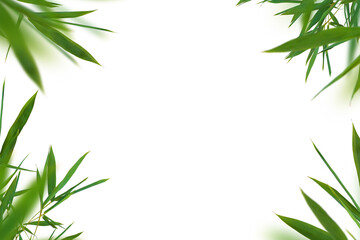 Naklejka premium Bamboo green fresh leaves. Frame on white background