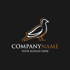 pigeon bird logo