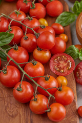 Fresh red variety of tomatoes with basil spices, pepper. Tomato vegetable concept. Vegan diet food. Harvesting tomatoes. Fresh tomato used for cooking.Top view.