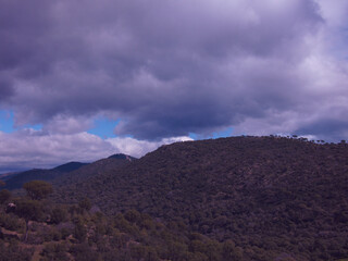 krajobraz góry drzewa rośliny widok drzewa pantano san juan