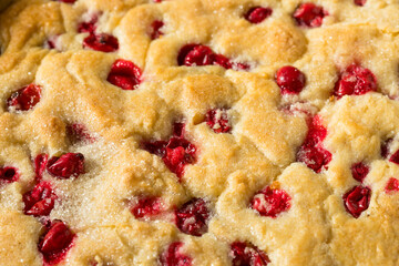 Homemade Cranberry Coffee Cake