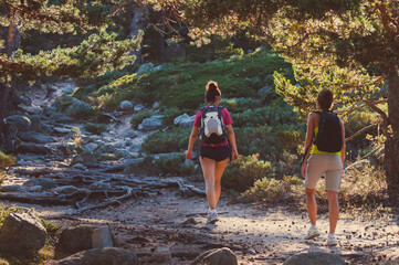 group of friends hiking in the mountains. two girls walking in nature