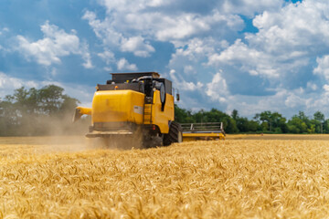 Fototapeta na wymiar Large yellow harvester working in big field of wheat. Golden flavour. Beautiful fields.