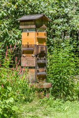 Fototapeta na wymiar Snoqualmie, Washington State, USA. A Warre hive is a vertical top bar hive that uses bars instead of frames, usually with a wooden wedge or guide on the bars from which the bees build their own comb. 