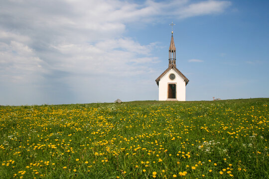 petite chapelle dans les Vosges au milieu d'une prairie fleurie au printemps