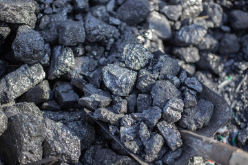 Mining. Large chunks of coal are shoveled with a shovel, mineral fuel for home stoves and boilers