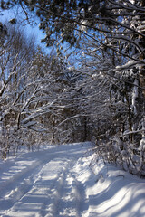 Snow-covered road in the winter forest on a sunny day 