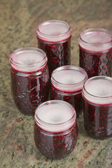 Jars of blackberry jam with the household wax (paraffin) mostly solidified on top to act as a seal, resting on a granite countertop in a kitchen.