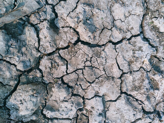 Cracked soil of a dried up fishing pond, during the start of summer season. Shot taken at East Kolkata wetland, a vast natural area consisting large stretched waterbodies used as fishery.
