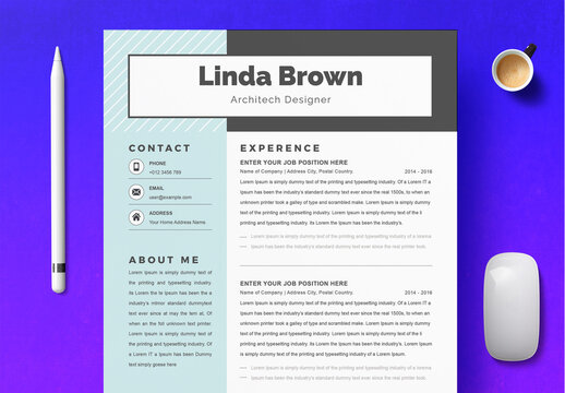 Clean and Professional Resume Layout