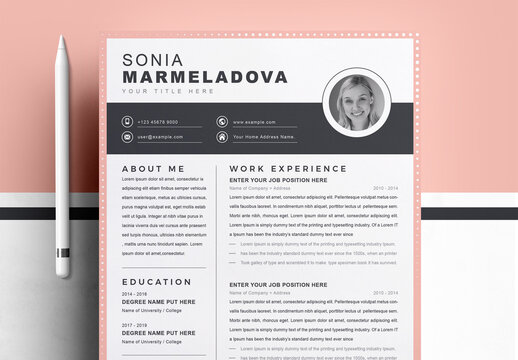 Clean and Professional Resume Layout
