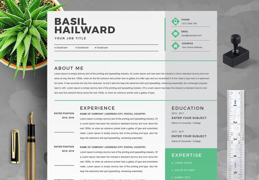 Professional Resume Layout