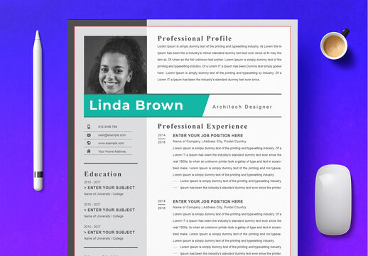 Professional Resume Layout