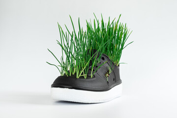 Sustainability and reuse concept. Grass in shoes. Home planting.